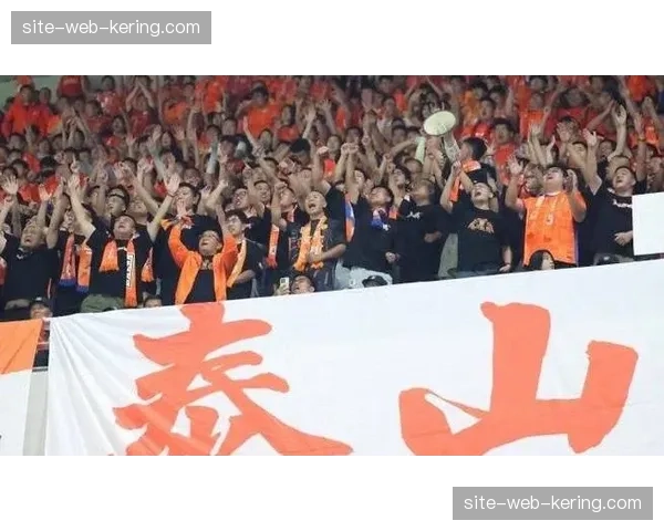 冬窗转会市场回归理性 申花315万欧投入居首泰山零支出